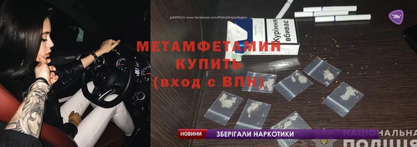 трава Ельня