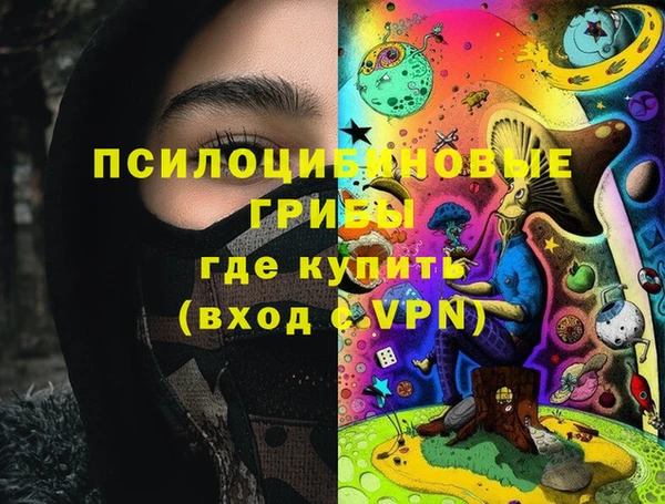 трава Ельня