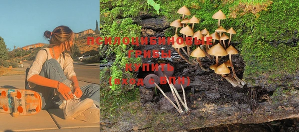 мескалин Дмитровск