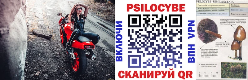 Псилоцибиновые грибы Psilocybine cubensis  Купить закладки  Карасук 