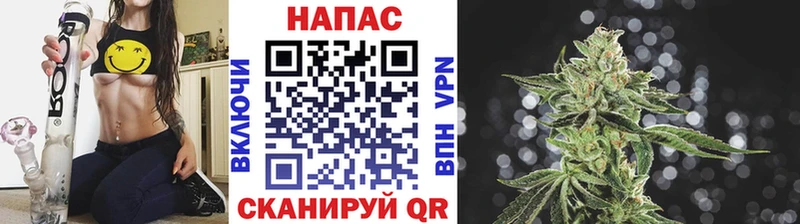 Бошки Шишки THC 21%  Купить закладки  Карасук 